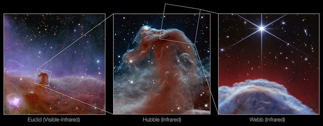 Horsehead Nebula (Euclid, Hubble and Webb images)