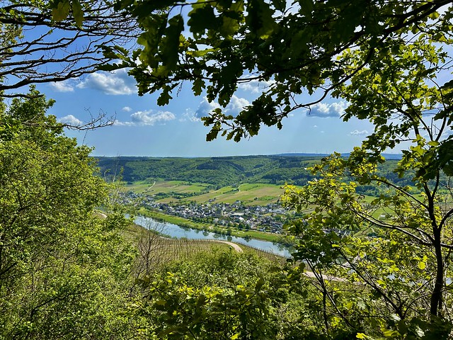 Villages and vineyards in the Moselle valley