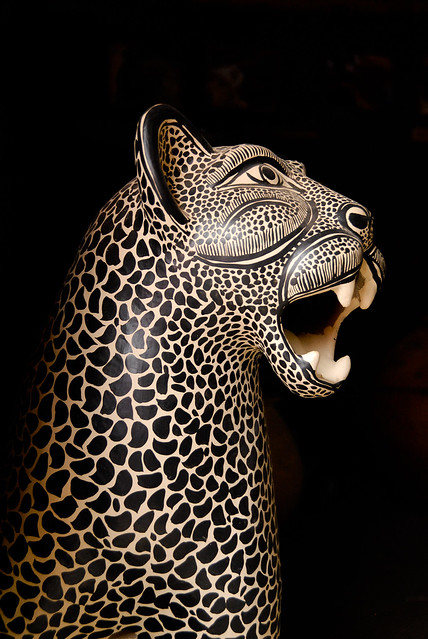 Jaguar -- Amatenango del Valle, Chiapas