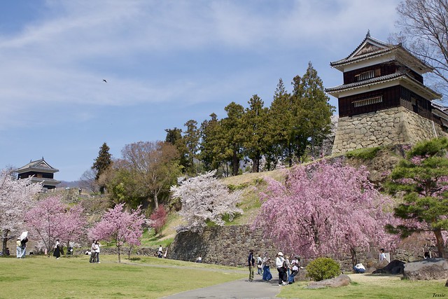 上田城　Ueda Castle