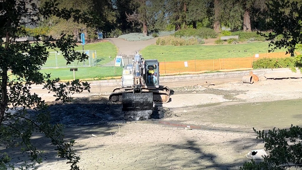 The excavator is moving sediment in Lake Spafford to dry it out in preparation for earthwork.