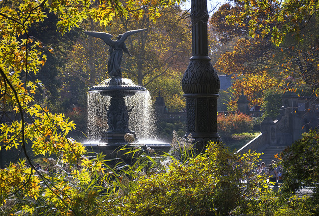 Central Park, Fall 23