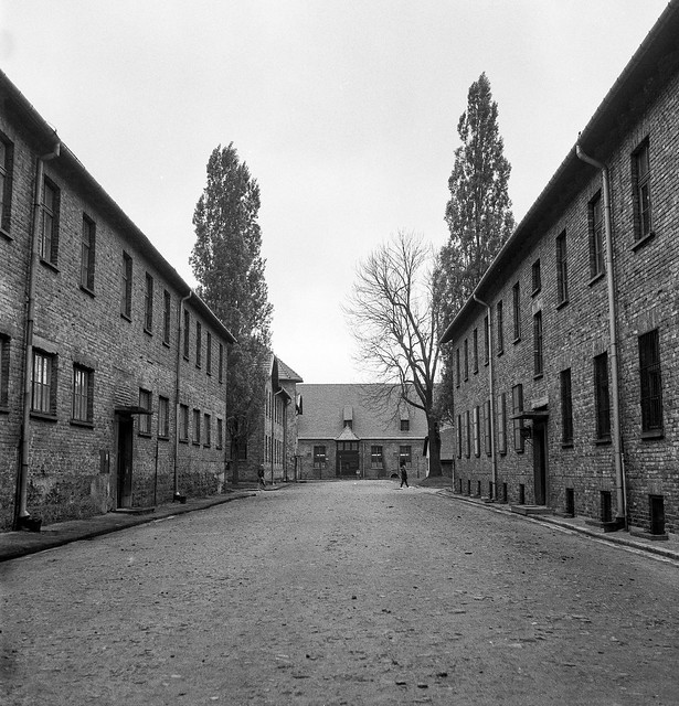 Auschwitz, Block expansion