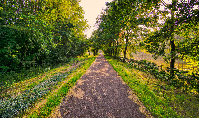 The path. Wilhelminaweg, village of Aarle-Rixtel, The Netherlands.