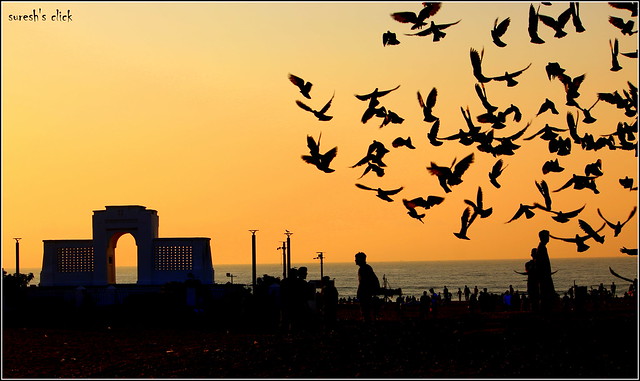 Early Morning Hours at Bessy, Elliots Beach, Chennai, TN, IN