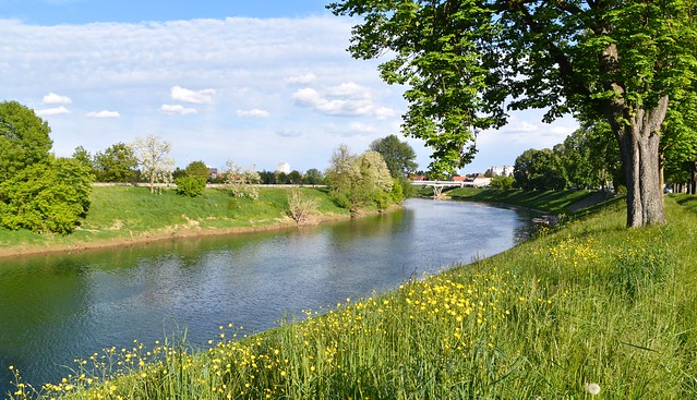 Springtime by the river Kupa in my hometown