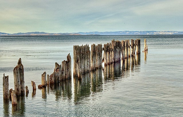 Row of decayed pilings