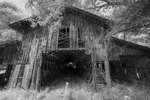 old red barn, in b&w