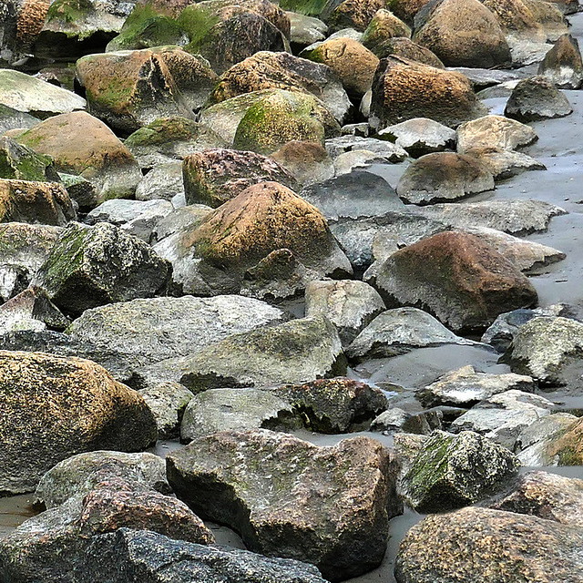 seaside rocks