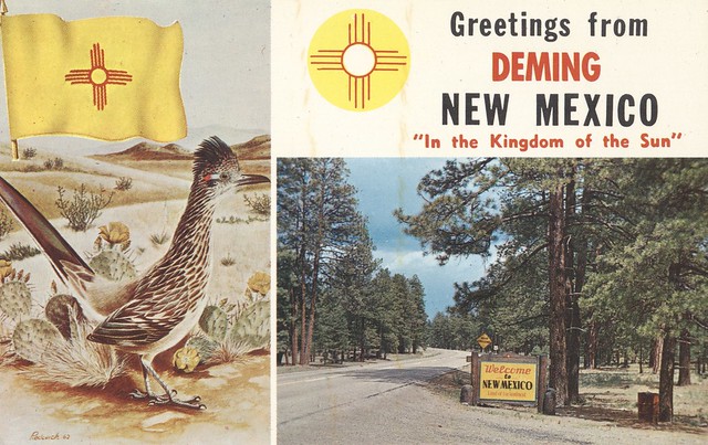 Greetings from Deming, New Mexico (#020273)