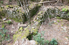Chemin du Carciara amont (HR22) : les caseddi d'Aragali à la confluence Velacu/Carciara