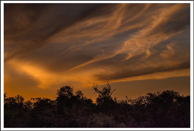 L1010448R_Leica SL2-S_Leica Vario-Elmar-SL 5-6,3 100-400_112023_Südafrika_Karongwereservat_Sunset