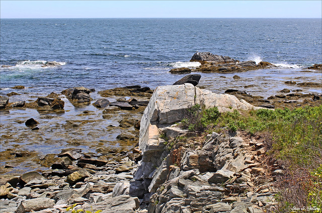 The rocky coastline of Maine