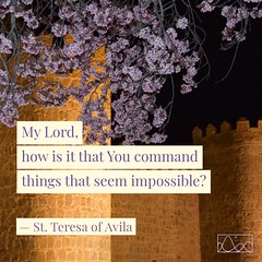 Discover how St Teresa of Avila faced resistance from her Carmelite sisters when trying to create a more secluded monastery. Dive into our quote of the day to learn how a Jesuit rector in April 1562 provided a solution! Find out more: carmelitequotes.blo