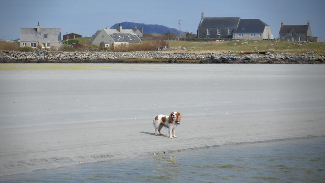 Low tide Clachan, Isle of North Uist