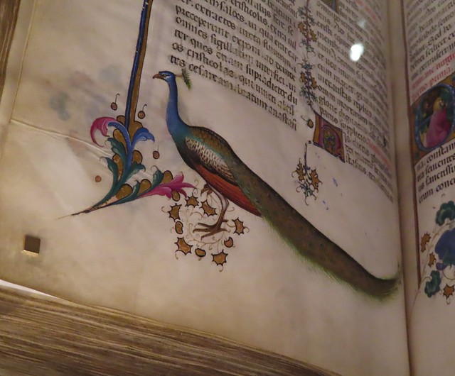 Belbello da Pavia: Le Martyre de saint Anastase, un paon