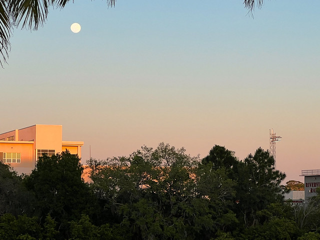 A Gentle Sarasota Sunset With the Moon