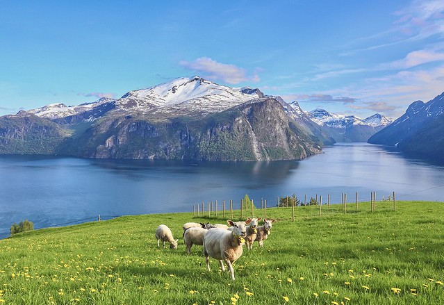 Spring in Norwegian fjords