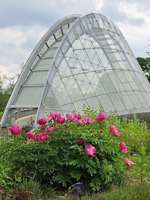 Davies Alpine House, Royal Botanic Gardens, Kew