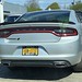 2022 Dodge Charger Rear