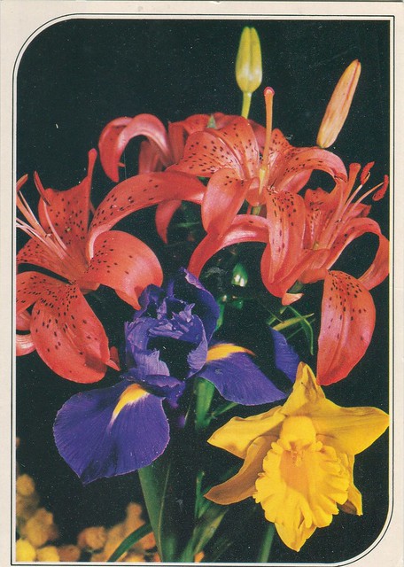 postcard - greeting card - flower - blumen - fiori - flors (6)