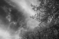 Clouds Over Black Lake (Canon 5D Classic - IR Converted In-Camera Black & White)