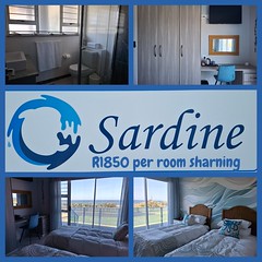 Sardine Room