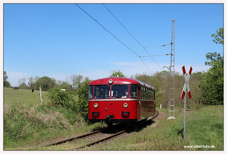 Buckower Kleinbahn - 2024-05