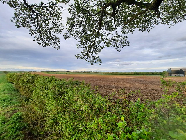 Cambridgeshire Countryside
