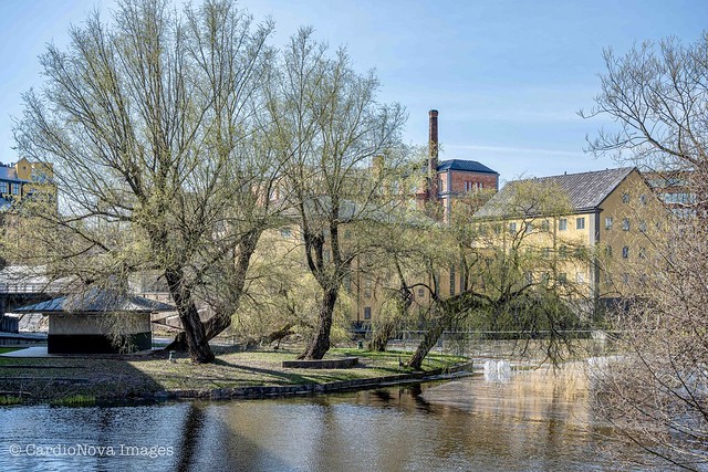 Spring in the industrial landscape of Norrköping, Sweden