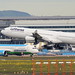 Lufthansa, D-AIGO,MSN 233,Airbus 340-313X, 29.04.2024, FRA-EDDF, Frankfurt