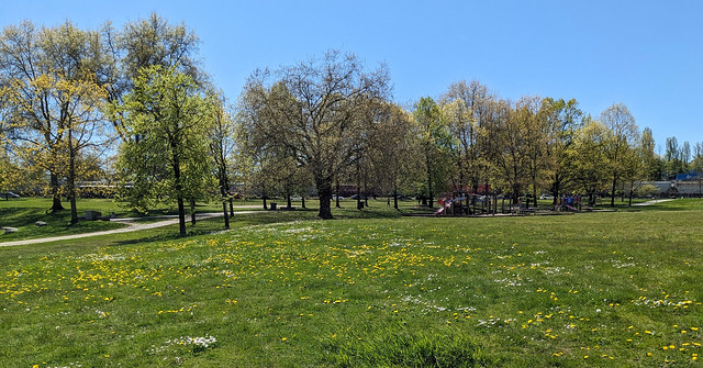 Park field and playground