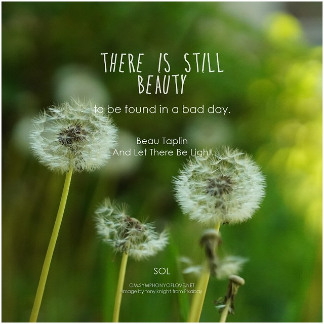 Beau Taplin There is still beauty to be found in a bad day.