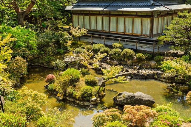 Yoshikien: A Japanese Garden in Nara City, Japan!