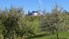 Hotel KleinRigi oberhalb von Schönenberg an der Thur