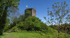 Ruine Last oberhalb von Schönenberg an der Thur