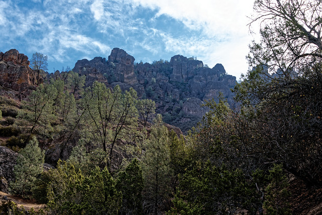 High Peaks Beyond Nearby Trees (Pinnacles National Park)