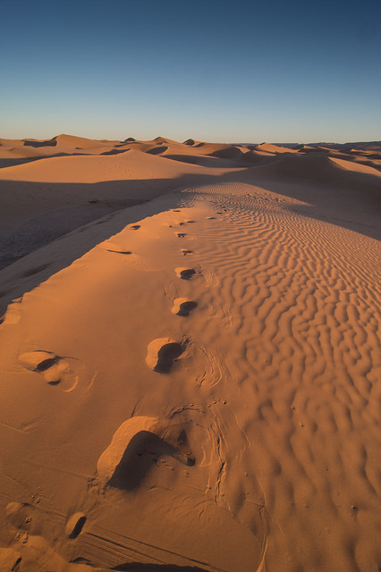 Marocco - Erg Lihoudi - Footsteps in Morning first Light
