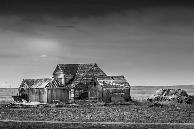 6651A Old Homestead_ BW