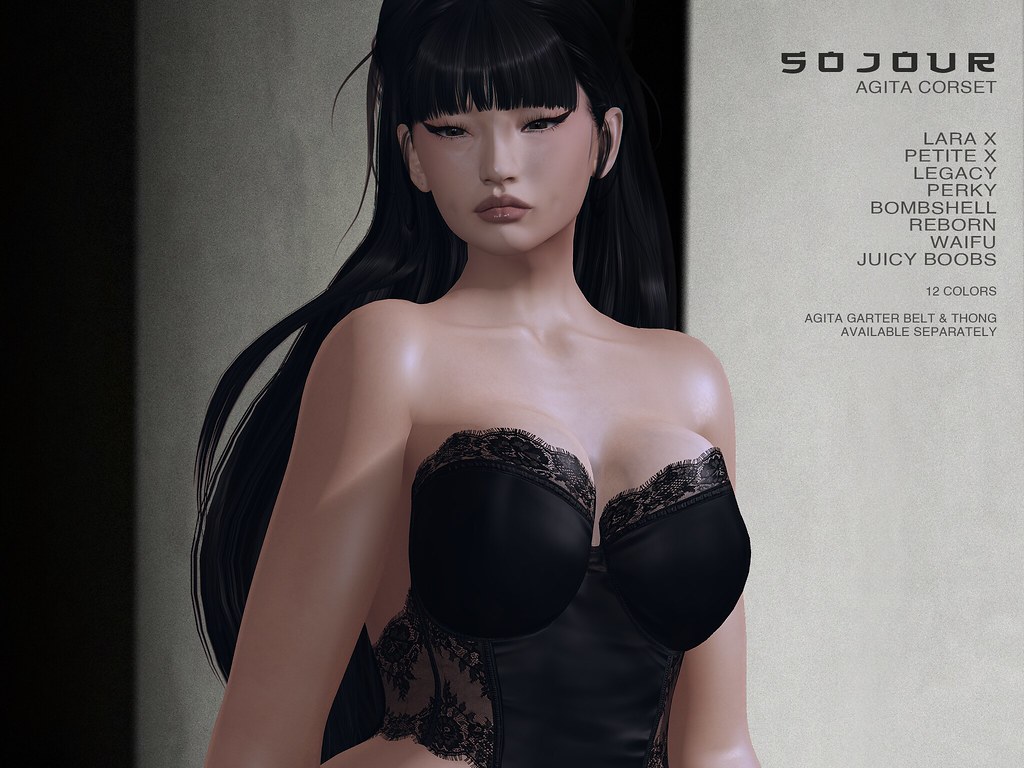 🎀  Fatpack Giveaway 🎀 SOJOUR – Agita corset x LEVEL