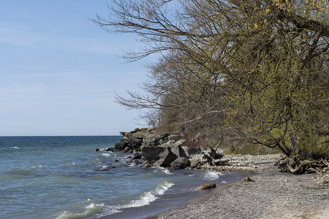 Beach at Whitby Shores