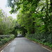 			<p><a href="https://www.flickr.com/people/surriyamm/">flowerofwoods</a> posted a photo:</p>
	
<p><a href="https://www.flickr.com/photos/surriyamm/53696784604/" title="Road - Ireland"><img src="https://live.staticflickr.com/65535/53696784604_286d73927f_m.jpg" width="240" height="180" alt="Road - Ireland" /></a></p>

<p></p>
