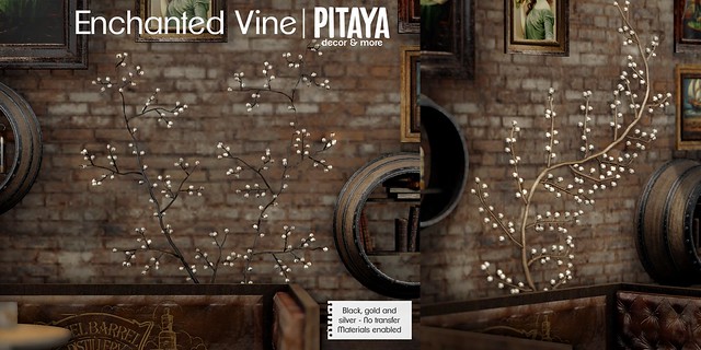 Pitaya - Enchanted Vine @ The Fifty