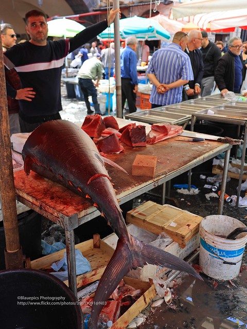 Catania, fishmarket, tuna