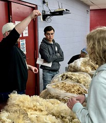 Grading wool