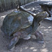 052 Santa Barbara Zoo (39) - Kallman Family Children's Garden (3) - Tortoise Sculpture