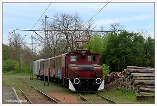 Buckower Kleinbahn - 2024-06