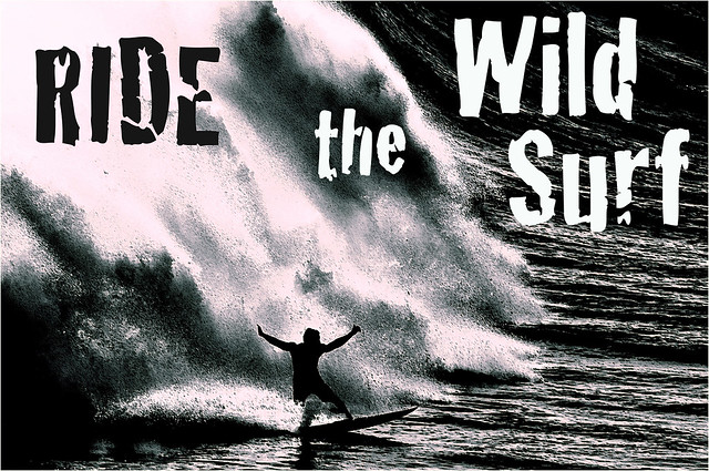 Ride the Wild Surf!
