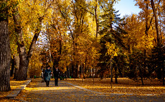 Parcul Catedralei (Central Park/City Park) - Chisinau, Moldova - 2021