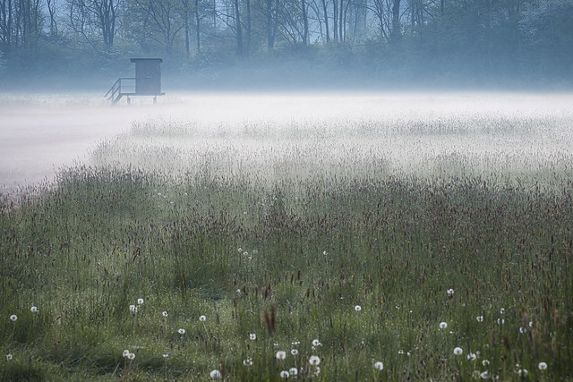 Boden-Nebel